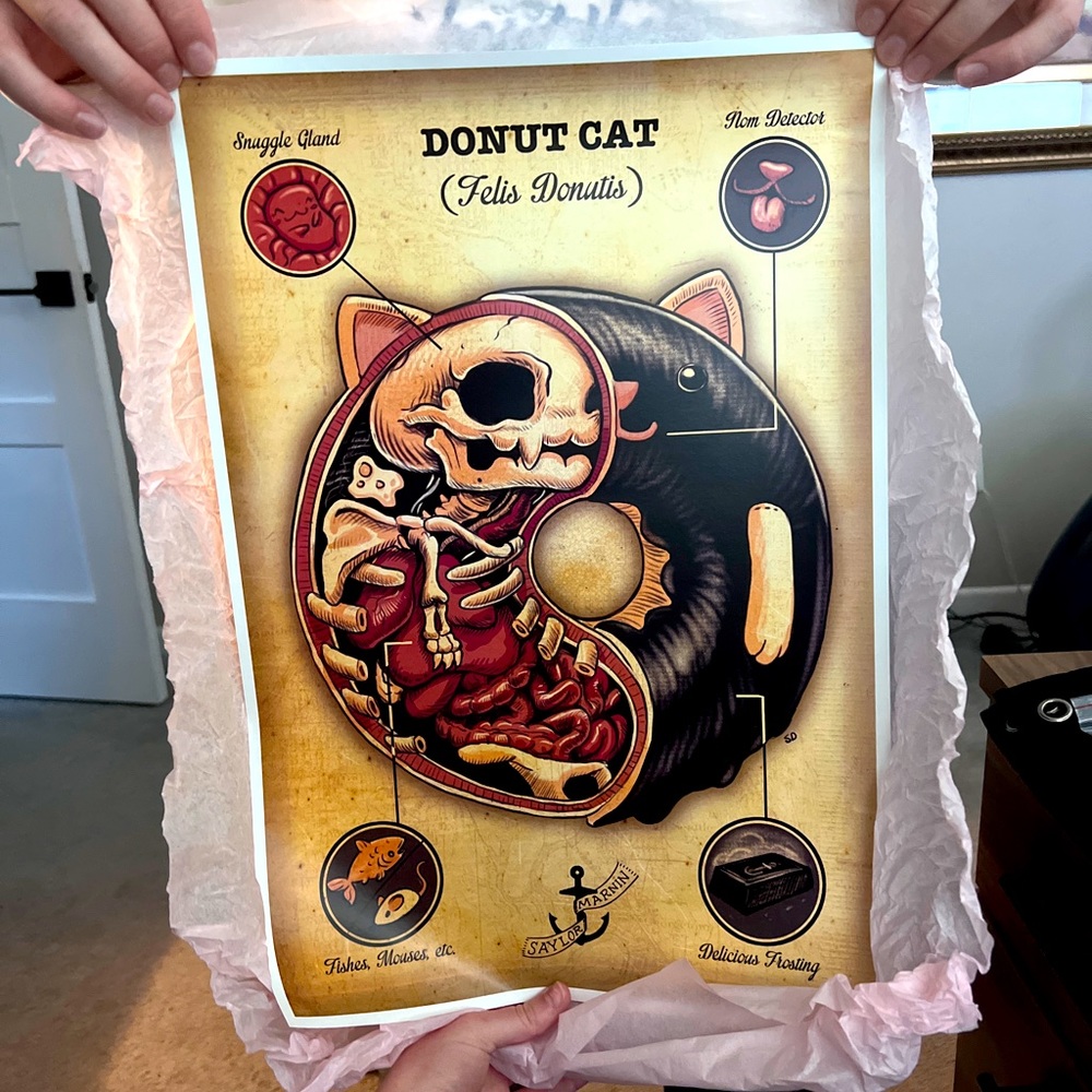 Cat Donut Poster (from Seattle) Saylor Marin